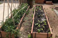 IMG-255902c1732bd1972362db8fd98a5693-V