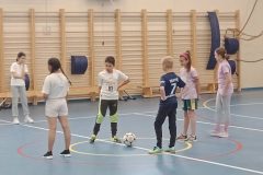 IMG-114d68003dba788eed11ec1276dea488-V